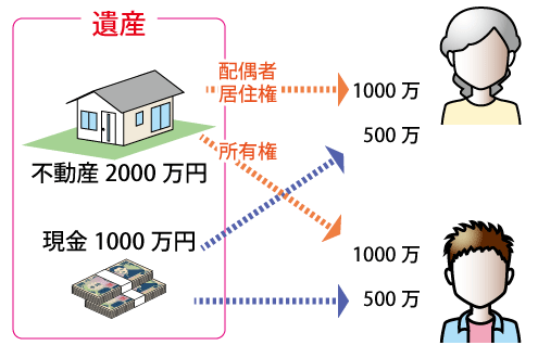 配偶者居住権で分割