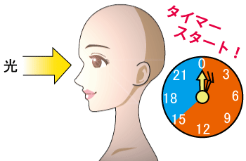 光で体内時計をリセット