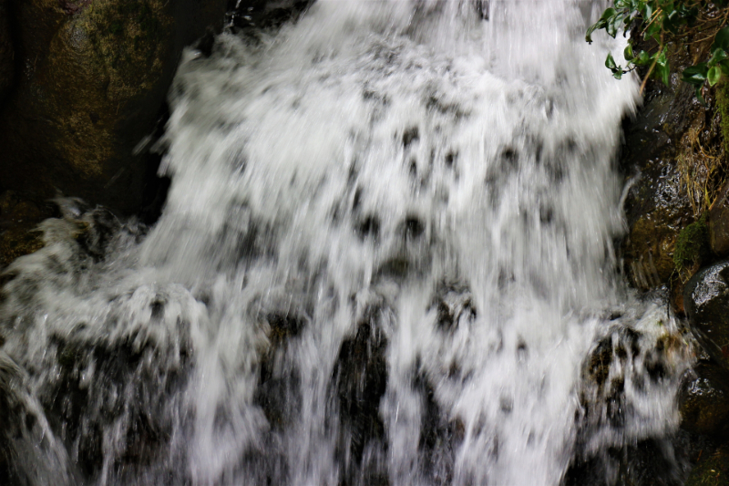 心霊現象の原因となるシミュラクラ現象