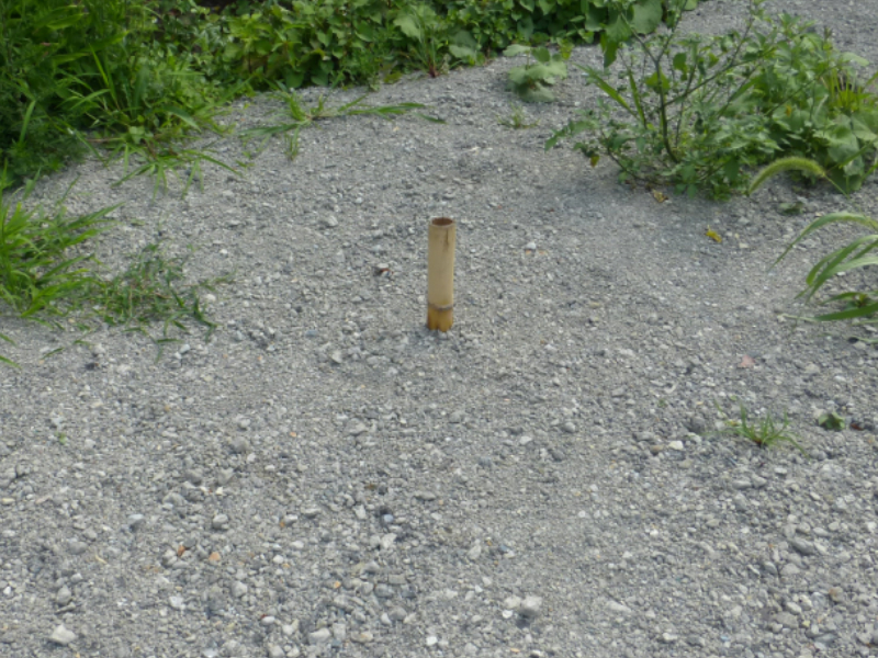 汲み取りトイレ跡の息抜き