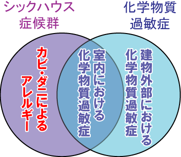 ホルムアルデヒドなどの化学物質だけではなくハウスダストも原因である